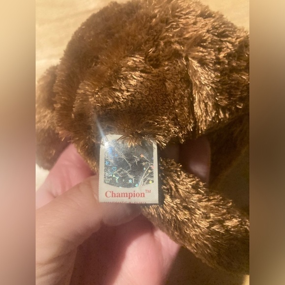 TY Champion beanie baby. From the 2002 FIFA World Cup. Brand new ! NWT - Picture 7 of 9